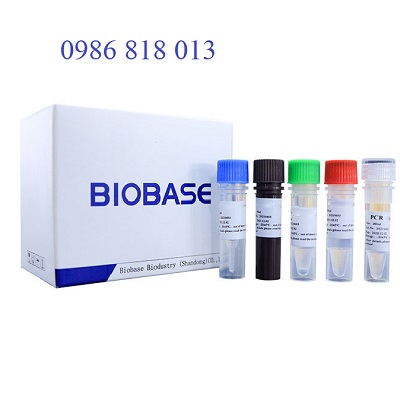 Bộ phát hiện axit nucleic Novel Corona vi-rút (2019-nCoV) (PCR huỳnh quang)