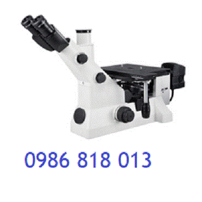 Kính hiển vi luyện kim MM-5000 BIOBASE
