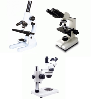 Kính hiển vi sinh học là gì?